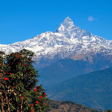 Himalayan Deurali Resort Pokhara Exteriör bild