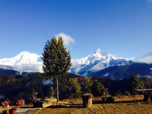 Himalayan Deurali Resort Pokhara Exteriör bild